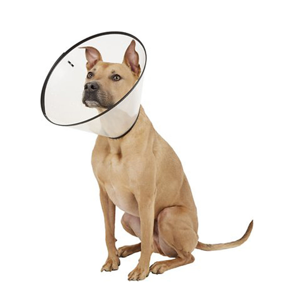 Remedy Recovery Dog E-Collar X-Large – Bow and Wow Online