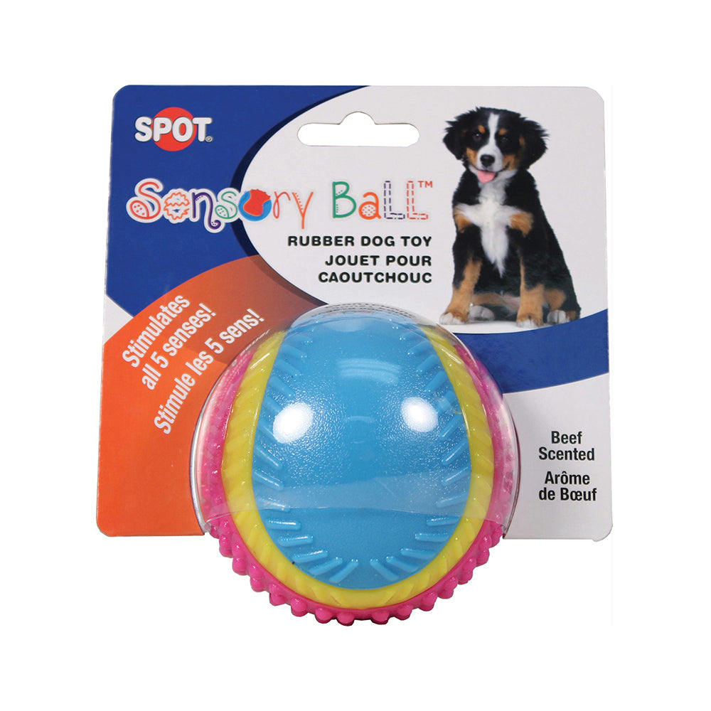 Spot Sensory Ball 3.25in Assorted