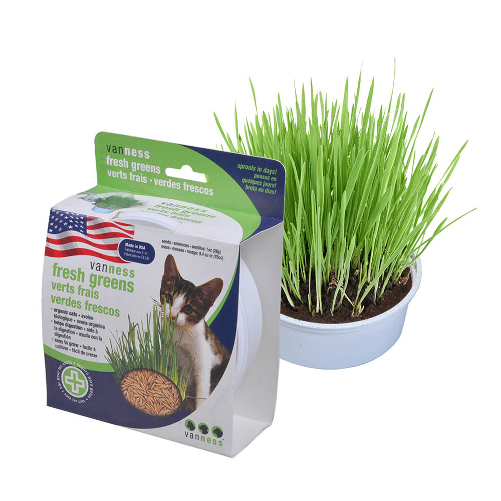 Van Pureness Oat Garden Kit