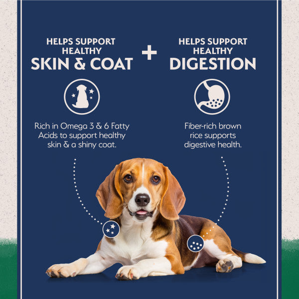 Natural Balance L.I.D. Lamb & Brown Rice Dry Dog Food 10.9kg