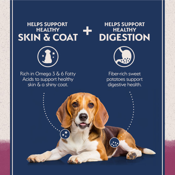 Natural Balance Dry Dog Food LID Sweet Potato & Venison 10kg