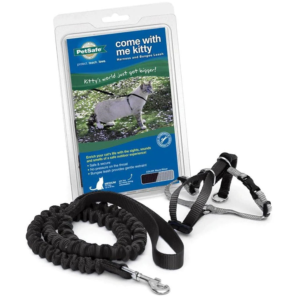 PetSafe Harness and Bungee Leash Black Small