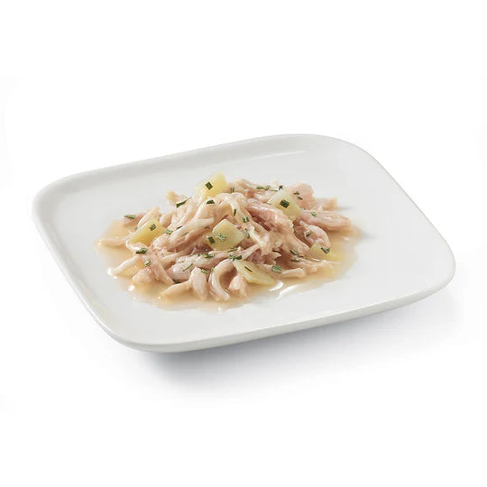 Schesir Chicken with Potatoes and Rosemary in Sauce for Small Breed Wet Dog Food 85g