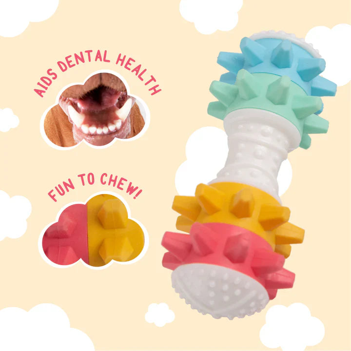 Snugarooz Noisy Bone Chew Toy Shake It Off