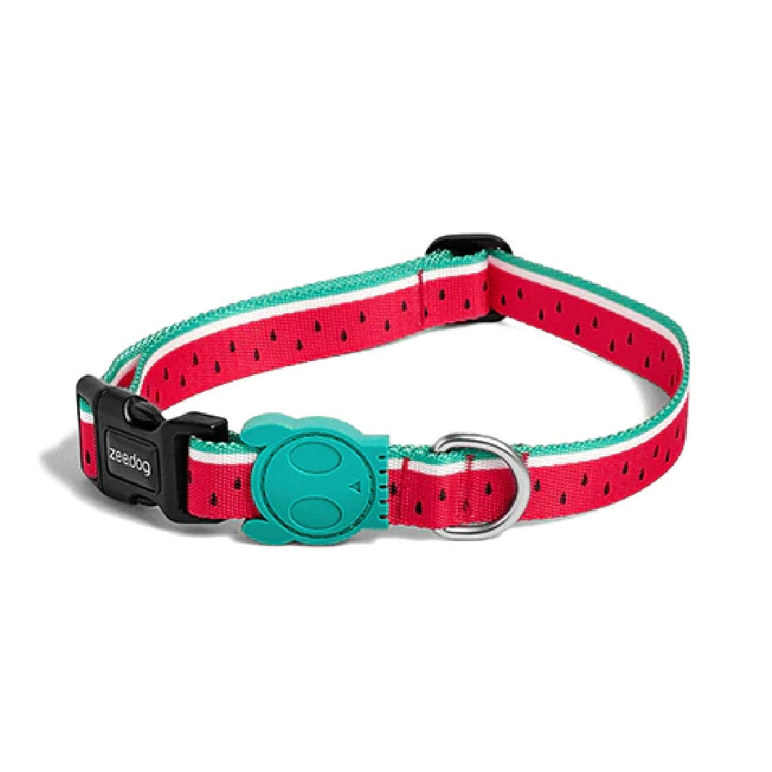 Zee Dog Medium Lola Collar