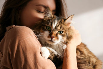 5 Tips For First Time Cat Owners