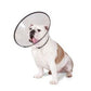Remedy + Recovery Dog E-Collar Large