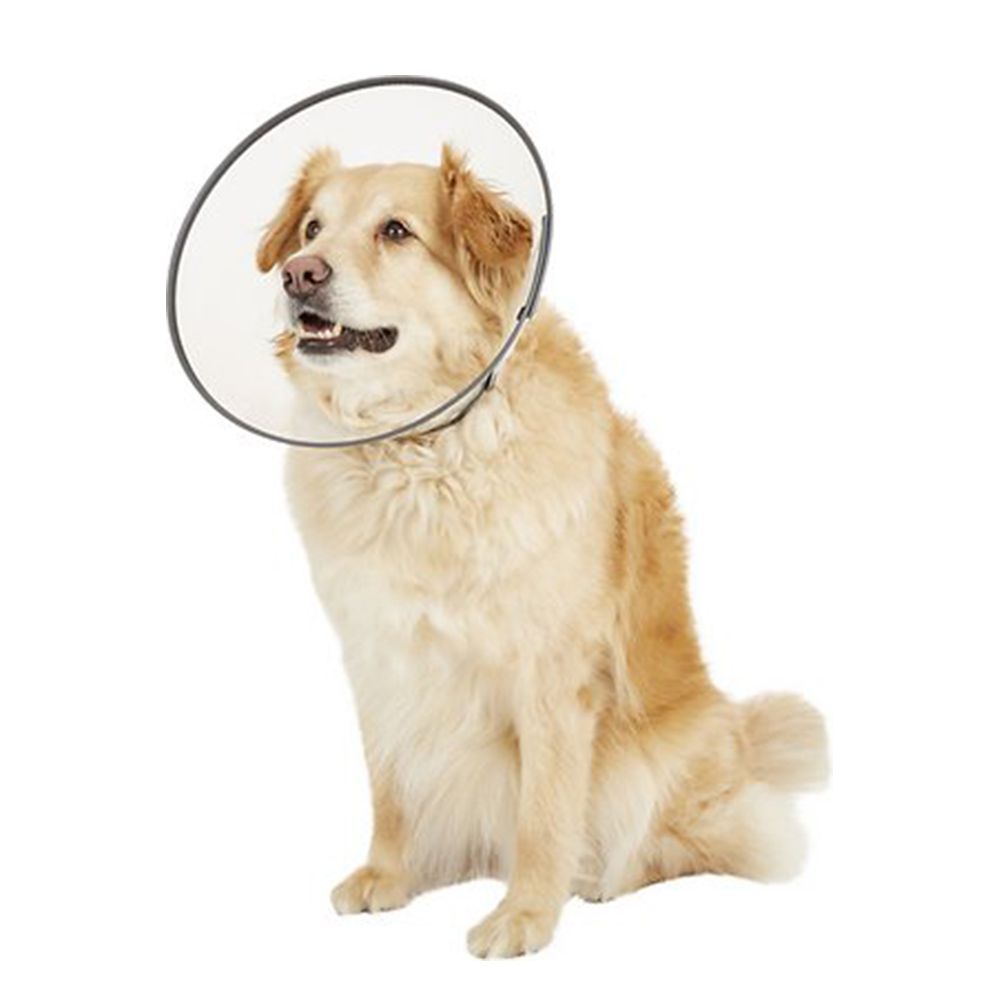Remedy + Recovery Dog E-Collar XX-Large
