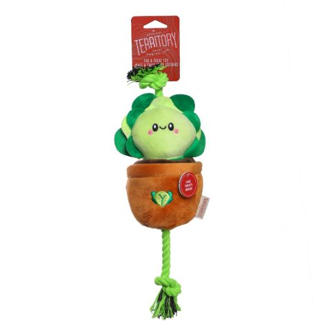 Territory Lettuce Treat-and-Tug Dog Toy 38cm