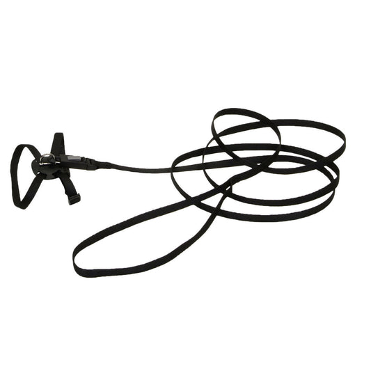 Coastal Pet Cat Harness & Leash Lil Pals Black