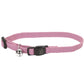 Coastal Pet Soy Rose Cat Collar 3/8 x 8-12"
