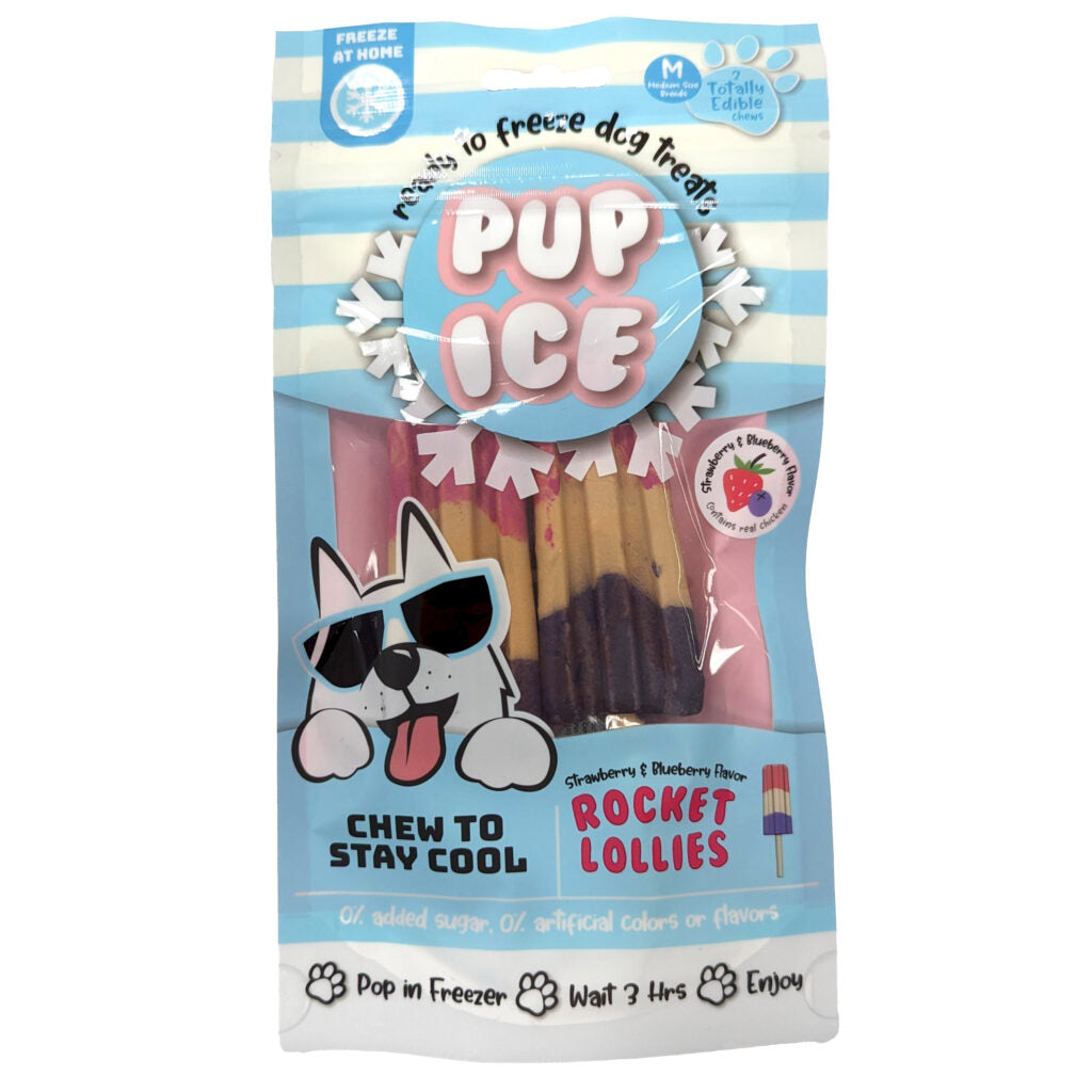 Pup Ice Fruit Lollies Stawberry Blueberry Dog Treat 2-pc