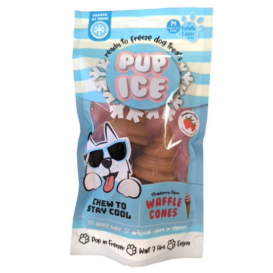 Pup Ice Wafflecone Strawberry Dog Treat 2-pc
