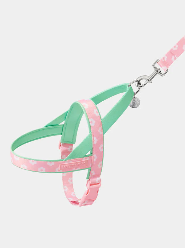 Vetreska Harness and Leash Flora XS