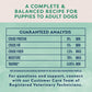 Natural Balance Dog Food Lamb Formula 13oz
