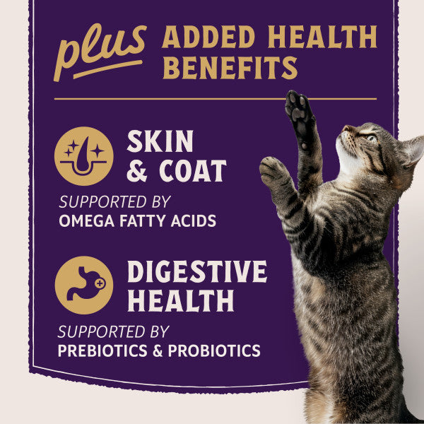 Natural Balance Ultra Protein Plus Skin & Coat and Digestive Health Dry Cat Food 2.6kg
