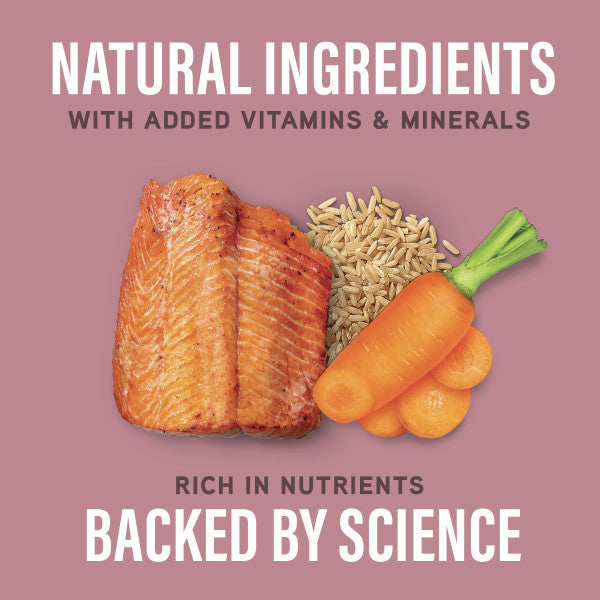Natural Balance Specialized Nutrition Sensitive Skin & Stomach Salmon & Brown Rice Pate Wet Dog Food 360g