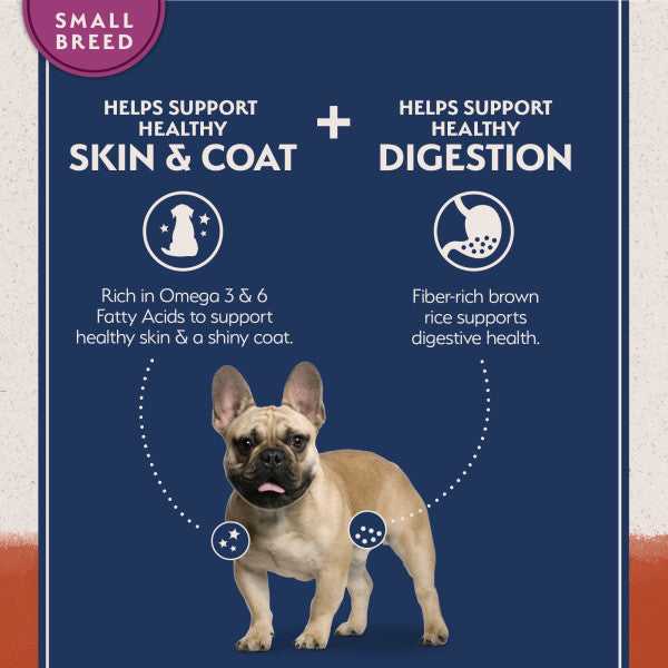Natural Balance Dry Dog Food Limited Ingredient Diet Small Breed Bites Salmon & Sweet Potato 5.44kg