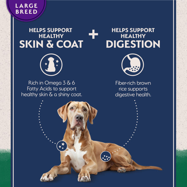 Natural Balance LID Bites Lamb & Brown Rice Dry Dog Food 11.8 kg