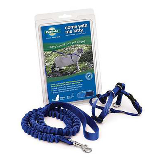 Petsafe Harness Bungee Leash Royal Blue Large