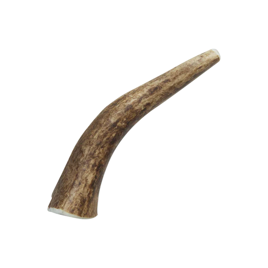 Health Extension Large Whole Elk Antlers