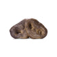 Vital Essentials Freeze-dried Raw Bar Pig Snout Dog Treat