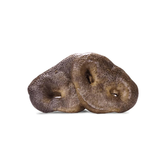 Vital Essentials Freeze-dried Raw Bar Pig Snout Dog Treat