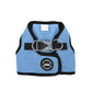 Olchi Large Sky Blue Led Combi Harness