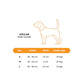 Bark & Spark Tiger Collar Small