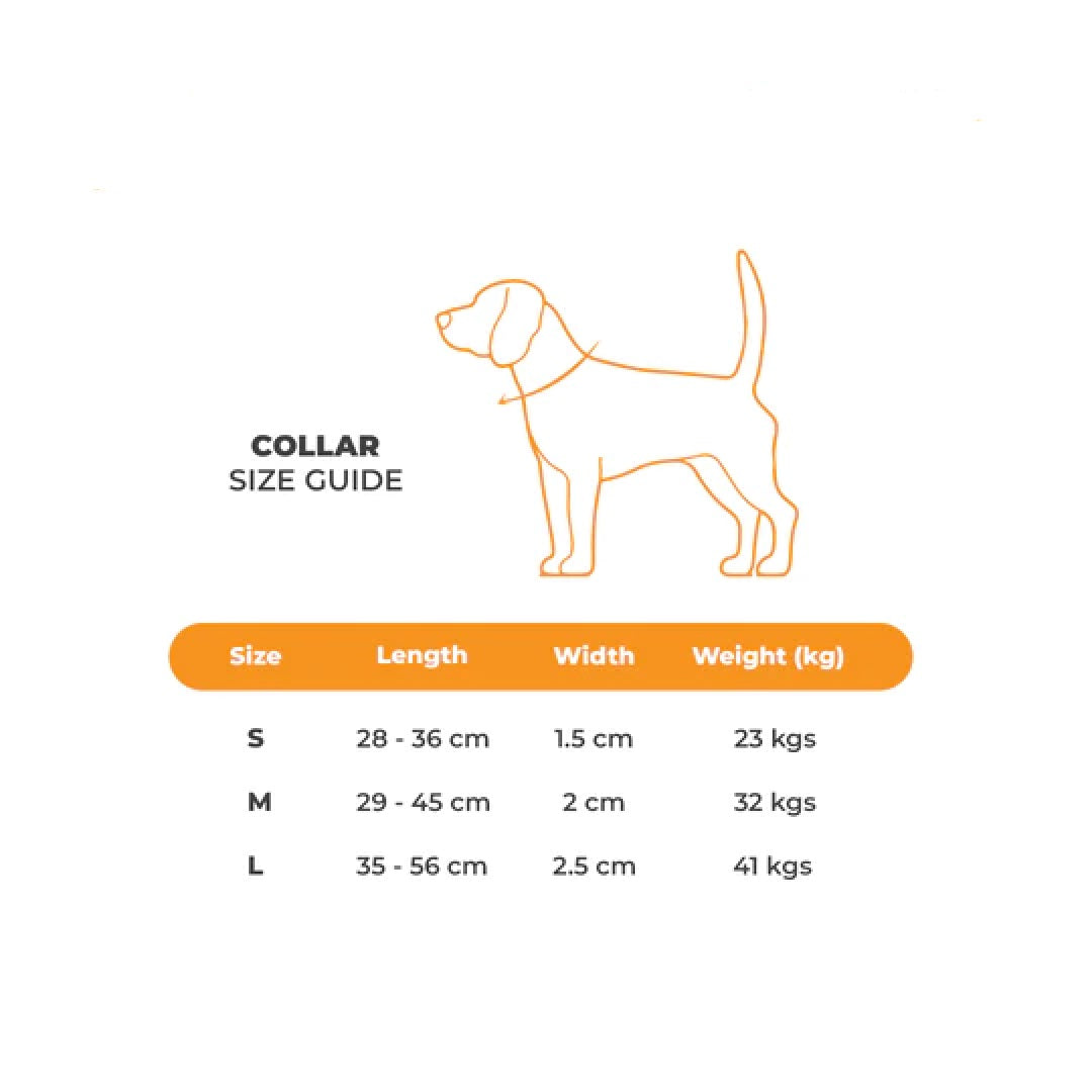 Bark & Spark Tiger Collar Medium