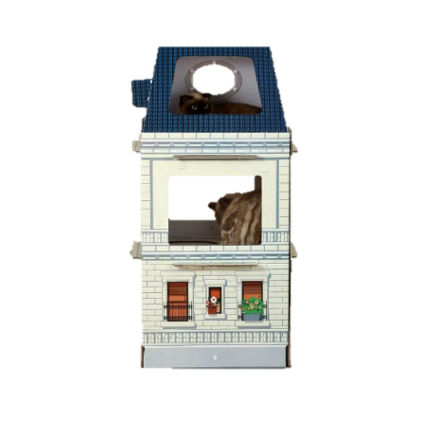 Kittenbox Amsterdam Mansion Kitten House