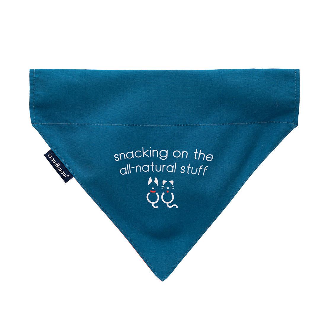 Bow & Wow Pet Bandana - Large