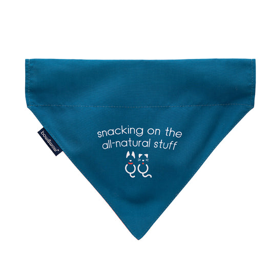 Bow & Wow Pet Bandana - Large