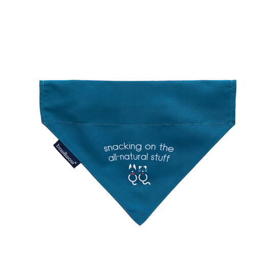 Bow & Wow Pet Bandana - Medium