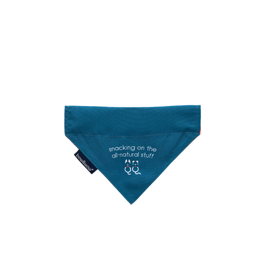 Bow & Wow Pet Bandana - Small
