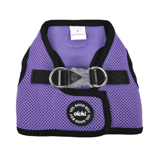 Olchi XL Purple Led Combi Harness
