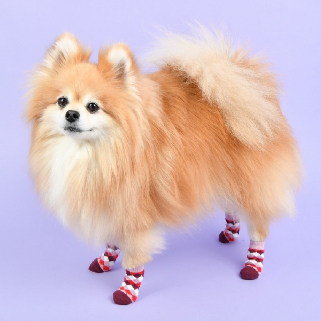 Olchi Wine Harlequin Sock Small