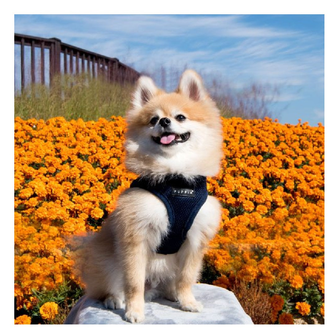 Puppia Harness B Soft Vest Navy X-Large