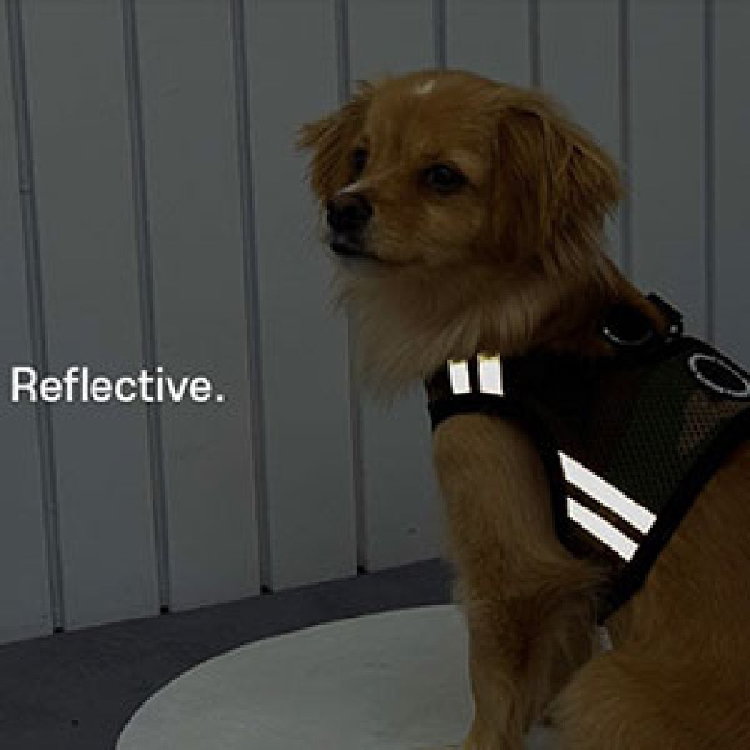 Puppia Harness Soft Vest Pro Pink Small