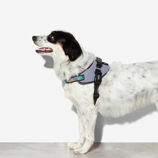 Zee Dog Fly Harness Urban Size 4