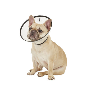 Remedy + Recovery Dog E-Collar Medium