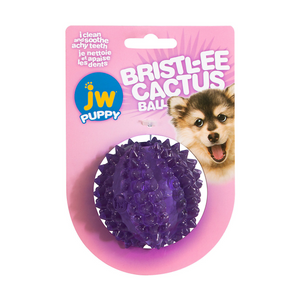JW Puppy Bristl-ee Cactus Ball Toy Puppy