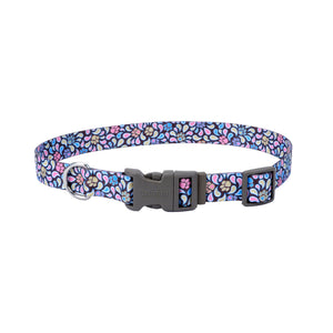 Coastal Pet Dog Collar Styles Blue Paisley 3/8 In X 8-12 In