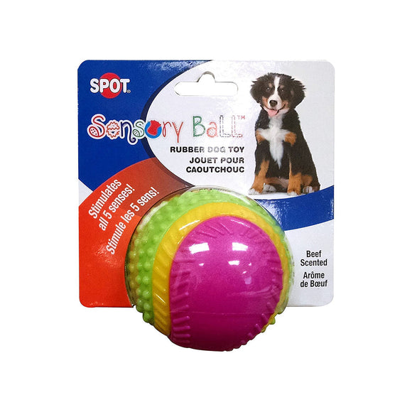 Spot Sensory Ball 2.5in Assorted