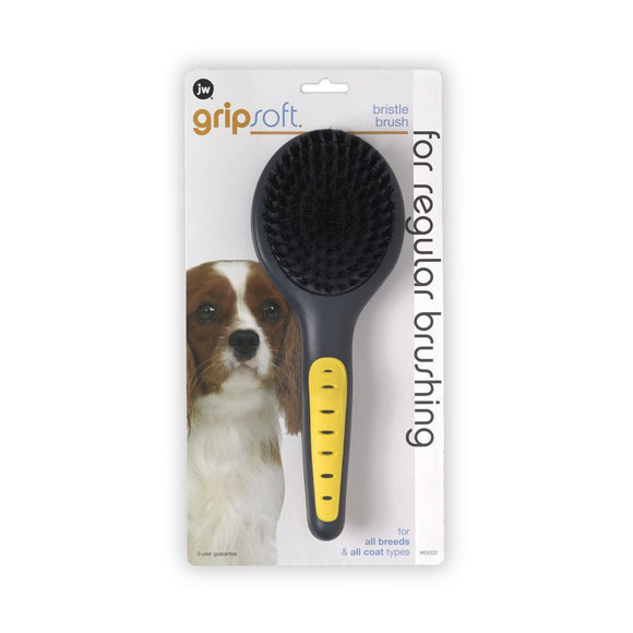 JW Pet Grooming Bristle Brush