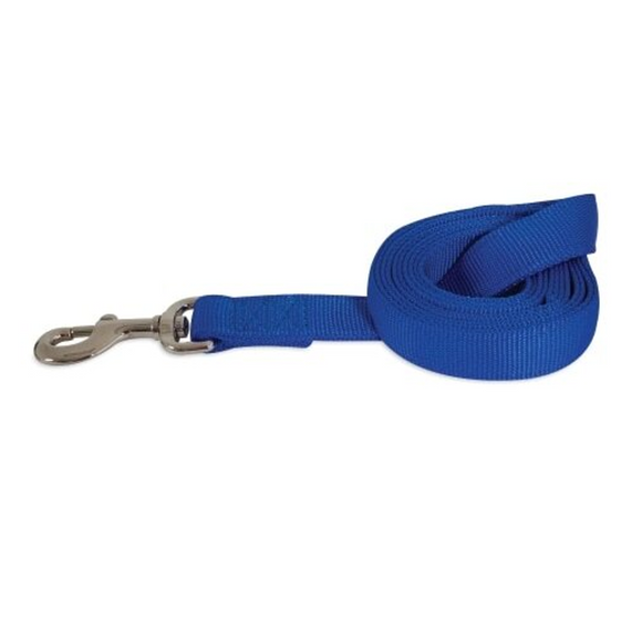 Petmate Dog Leash Standard Blue 1 In X 6 Ft