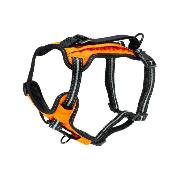 Petsafe Harness Walk Along Orange Small