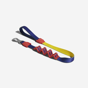 Zee Dog Leash Ruff Puzzle Small