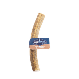 Barkworthies Elk Antler Whole Medium