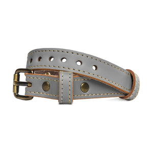 Pawdel Alpha Collar Ash Gray/Gray Large